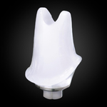 Abutment Cá Nhân Hóa